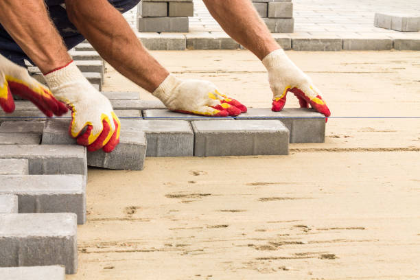 Best Local Driveway Pavers  in Winnemucca, NV