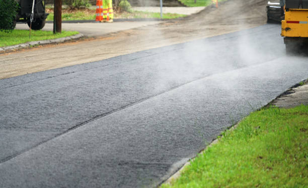 Best Professional Driveway Pavers  in Winnemucca, NV